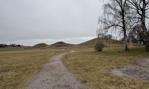 IMG_2571 2 IMG_2571 2