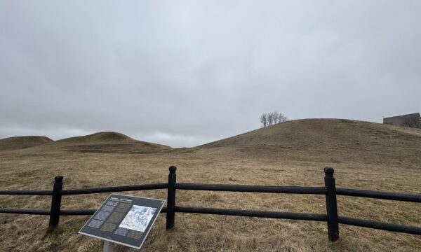 IMG_2577 2 IMG_2577 2