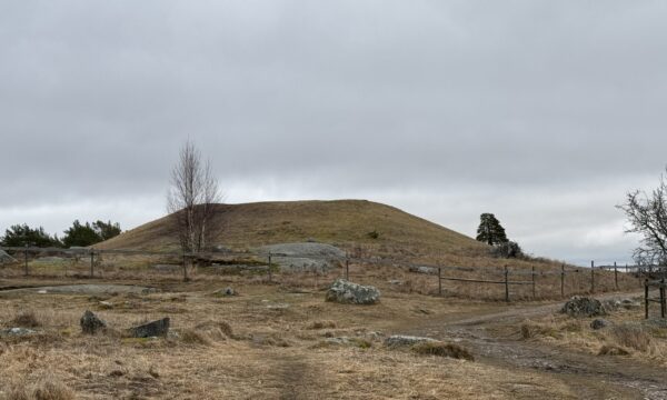 IMG_2593 IMG_2593